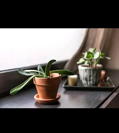 Apartmán Imhost - Amazing Architect Pere Lachaise Paříž